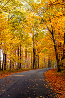 Autumn in Illinois