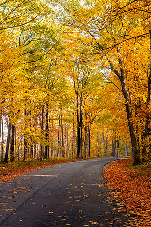 Autumn in Illinois