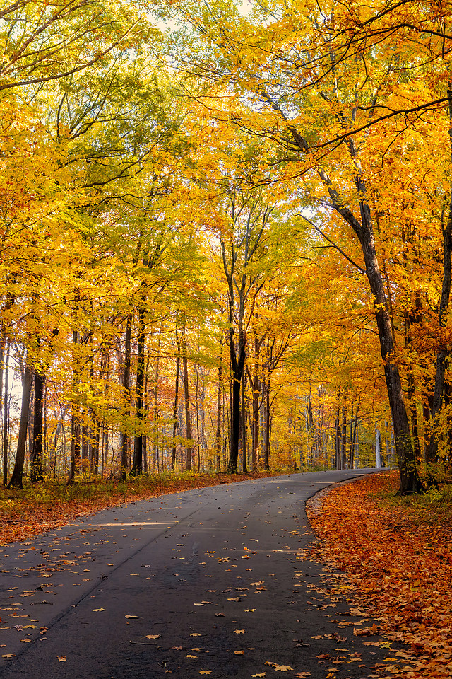 Autumn in Illinois