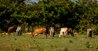 2023 USA LABC Dominican Republic-4