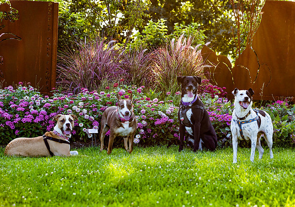 Tiegan, Kelsey, Dino, and Mozzarella-2
