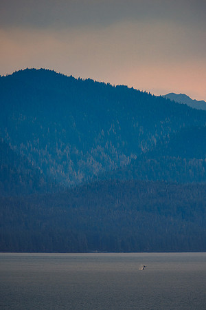 Perspective in Alaska
