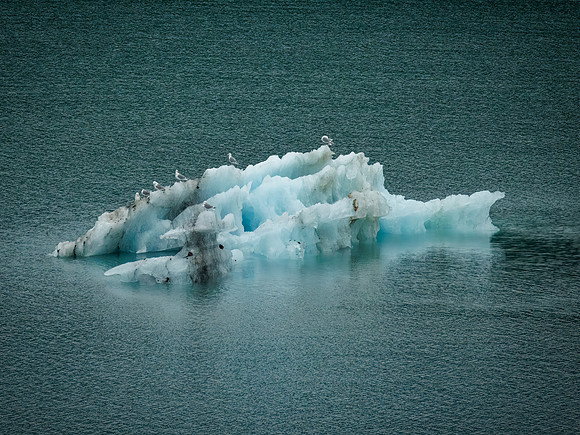 Alaska-79