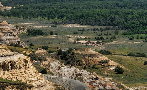 TRNP Badlands