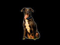 _88A1890-Edit-Edit-Edit