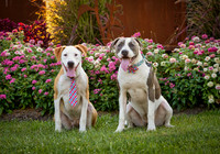 Kip and Bella-2