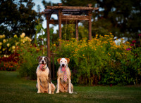 Kip and Bella-4