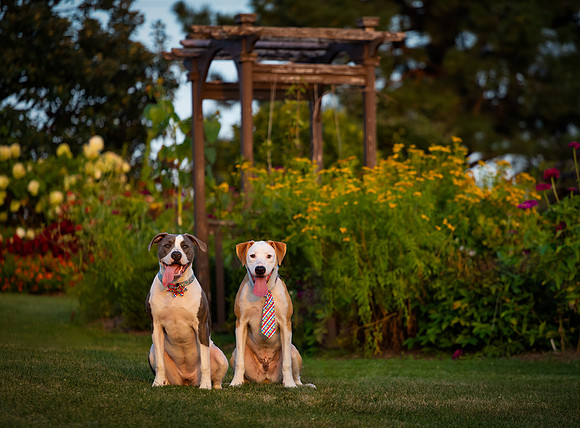 Kip and Bella-4