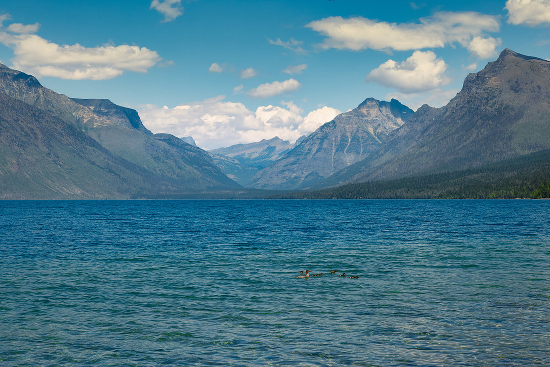 Lake McDonald Landscape