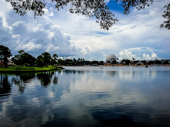 Epcot Landscape