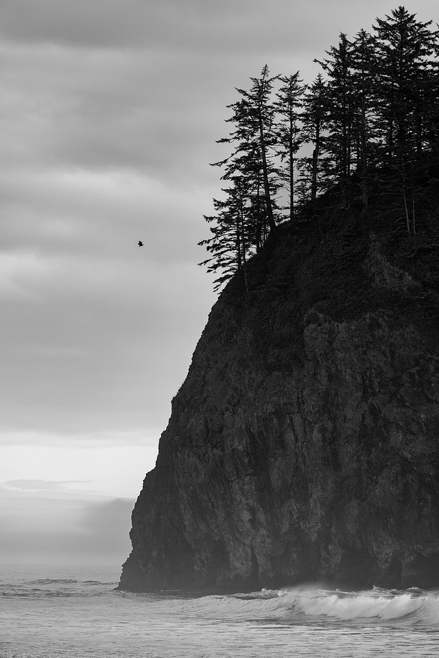 Sea Stacks of Olympic National Park