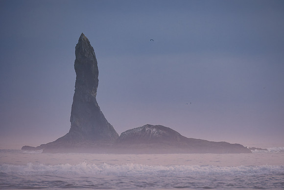 Sea Stacks of Olympic National Park