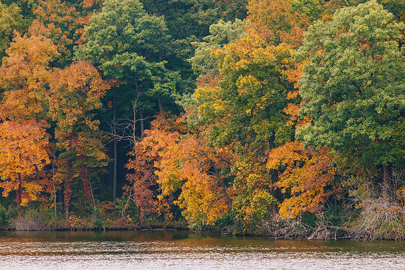 Fall Day on Dawson Lake