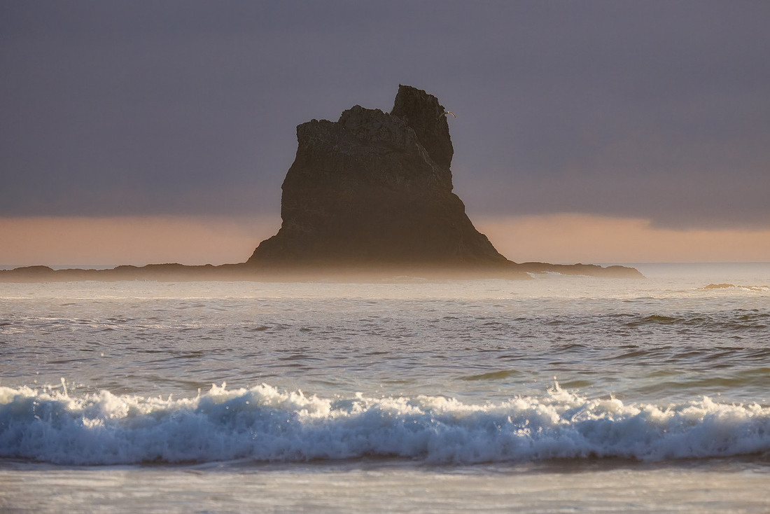 Sea Stacks of Olympic National Park