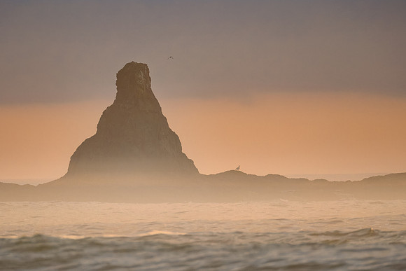 Sea Stacks of Olympic National Park