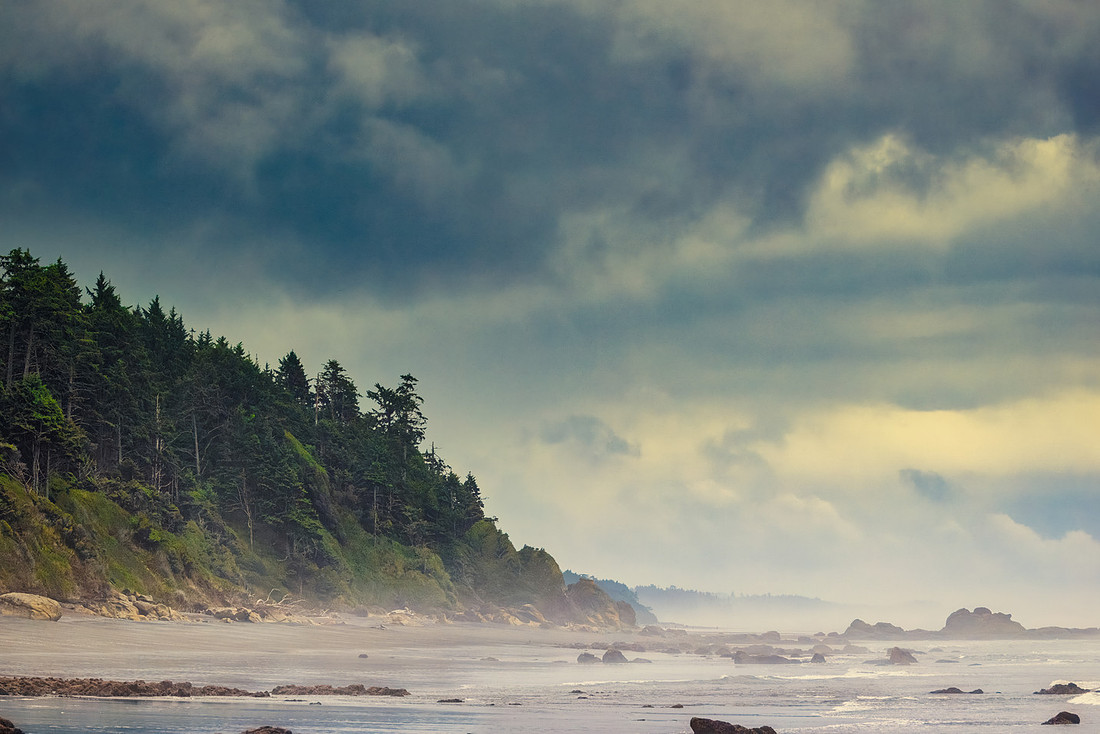 Where Rainforests Meet the Sea