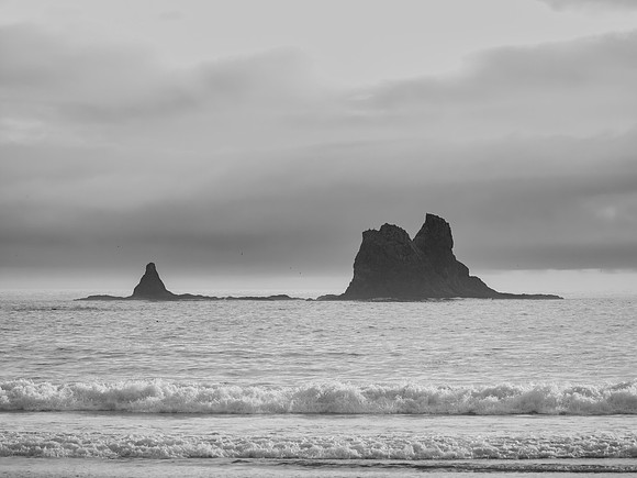 Sea Stacks of Olympic National Park