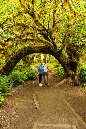 Hoh Rainforest