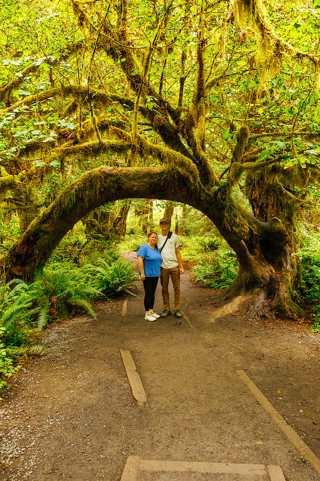 Hoh Rainforest