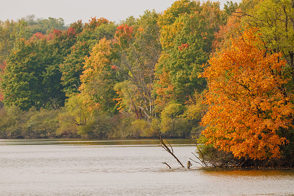 Fall Day on Dawson Lake