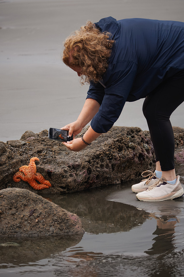 Aquatic Life in the Tide Pools at Ruby Beach