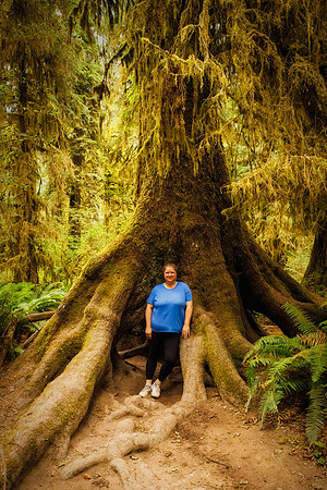 Hoh Rainforest