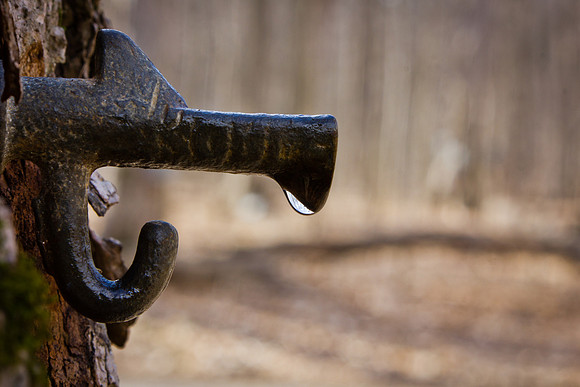 Funks Grove Tap3