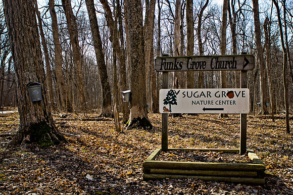 Funks Grove Tap4