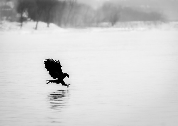 Fishing Through the Sea Smoke