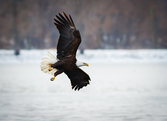 Cruising the Mississippi River Banks