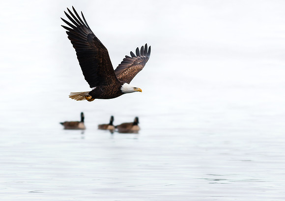 Putting on an Air Show