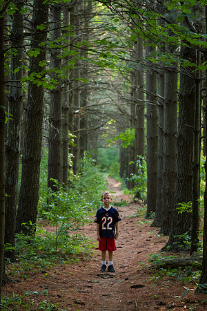 Walking Among Giants