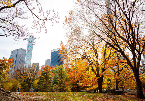 New York 165
