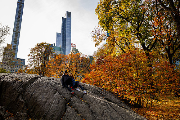 New York 169