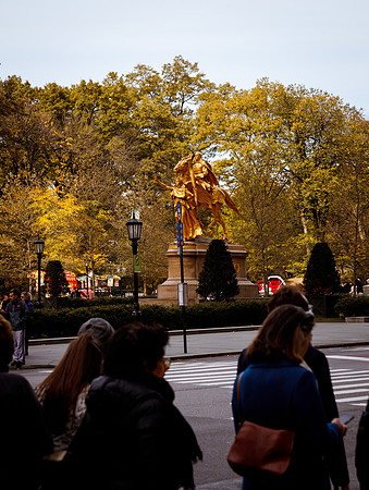 New York 180