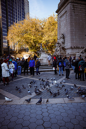 New York 190