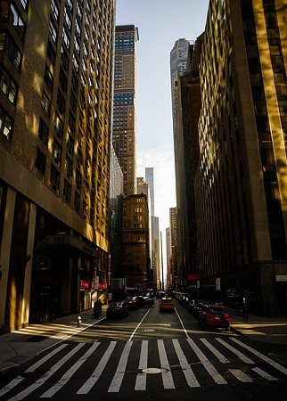 New York 229