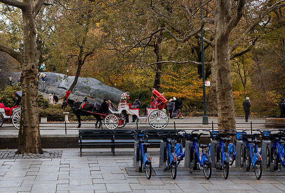 New York 238