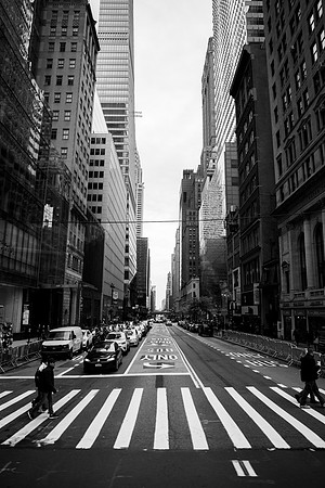 New York 240