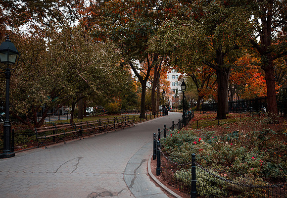New York 247