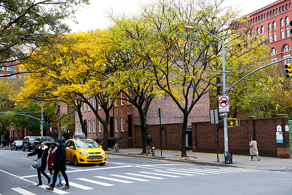 New York 259