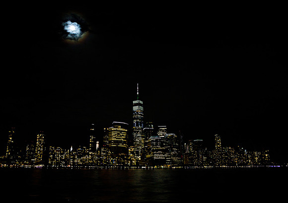New York 313