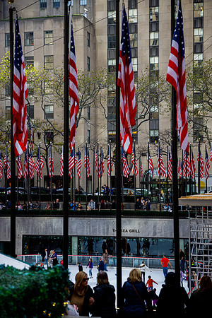New York 365