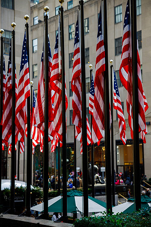 New York 366