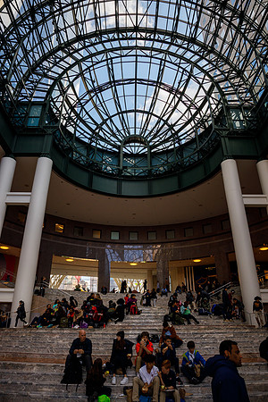 New York 3