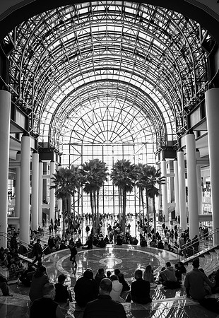 New York 6