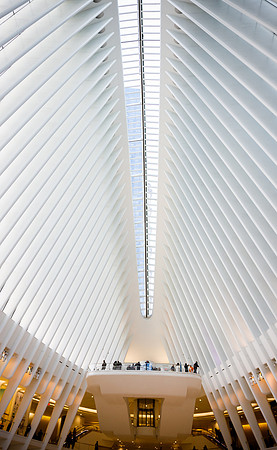 New York 15