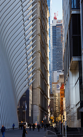 New York 22
