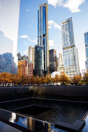 New York 40
