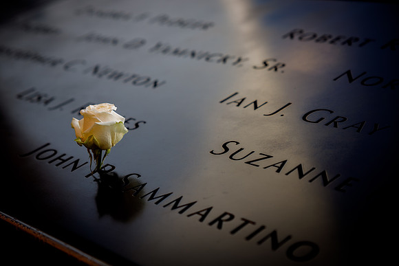 New York 41